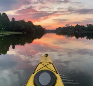 View of landscape with trees and river
